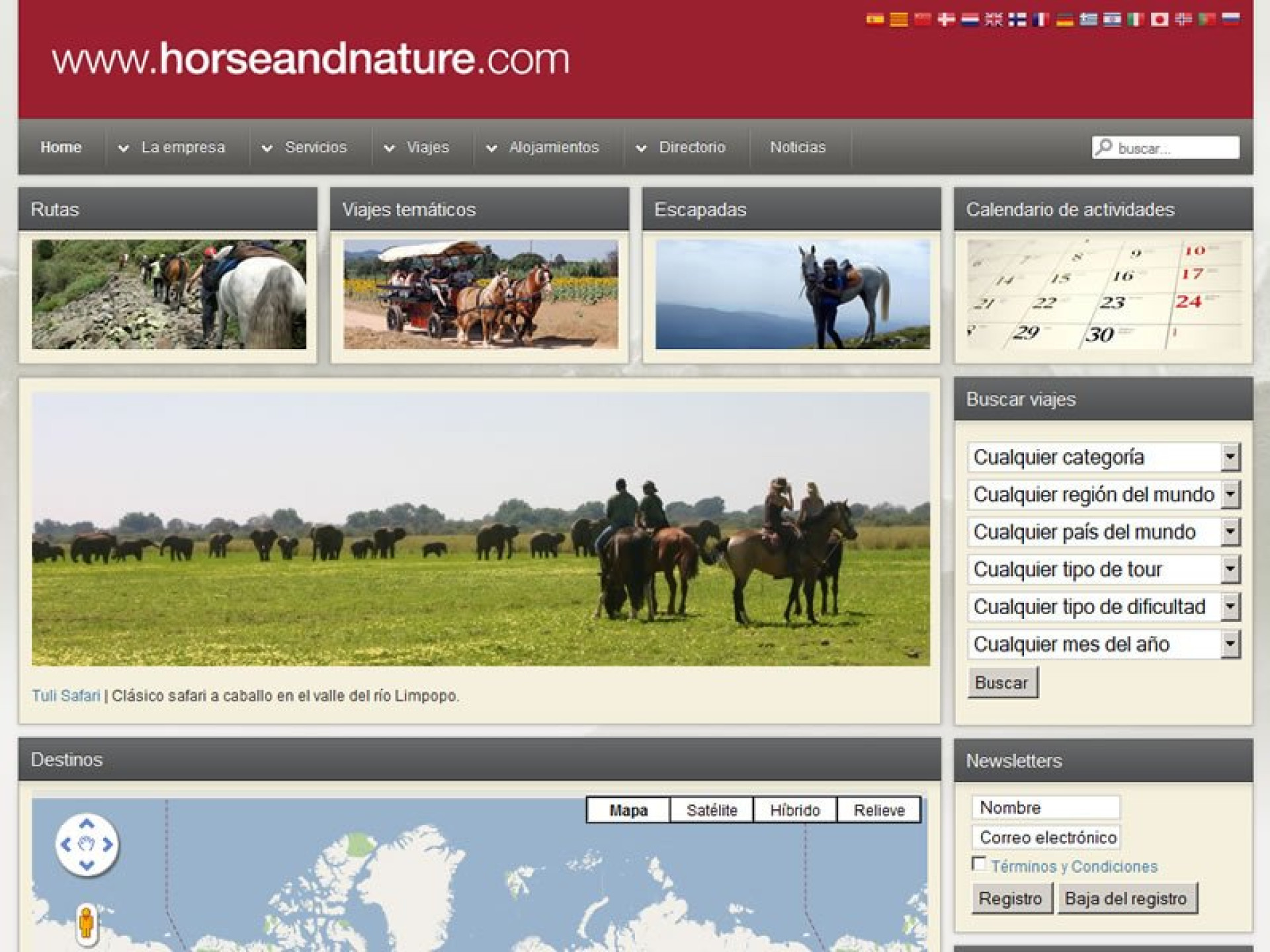 Horse & Nature Horse & Nature